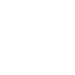 icon Large Scanning area