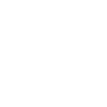 icon Scan-to-mesh